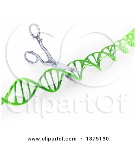 Clipart of a 3d Green Dna Strand Being Cut by Scissors, on a White Background - Royalty Free Illustration by Mopic