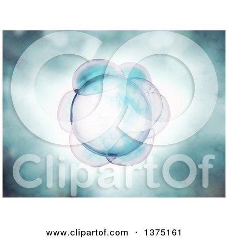 Clipart of 3d Embryo Cleavage - Royalty Free Illustration by Mopic