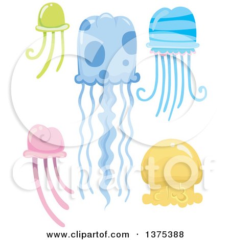 Clipart of Colorful Jellyfish - Royalty Free Vector Illustration by BNP Design Studio
