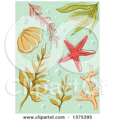 Clipart of Seaweed and a Starfish on Green with Bubbles - Royalty Free Vector Illustration by BNP Design Studio