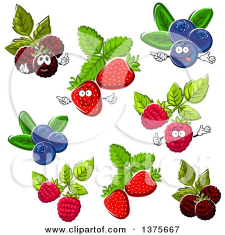 Clipart of Berries - Royalty Free Vector Illustration by Vector Tradition SM