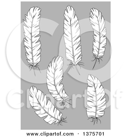 Clipart of Black and White Feathers on Gray - Royalty Free Vector Illustration by Vector Tradition SM