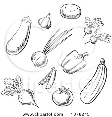 Clipart of Black and White Sketched Vegetables - Royalty Free Vector Illustration by Vector Tradition SM