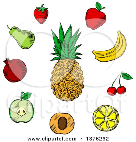 Clipart of a Sketched Pineapple and Other Fruits - Royalty Free Vector Illustration by Vector Tradition SM