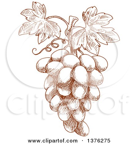 Clipart of a Brown Sketched Bunch of Grapes - Royalty Free Vector Illustration by Vector Tradition SM