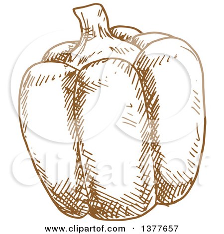 Clipart of a Brown Sketched Bell Pepper - Royalty Free Vector Illustration by Vector Tradition SM