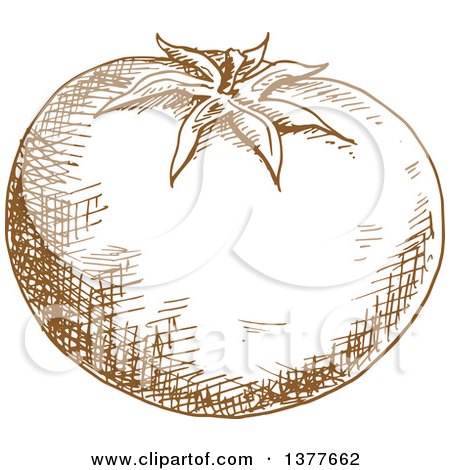 Clipart of a Brown Sketched Tomato - Royalty Free Vector Illustration by Vector Tradition SM