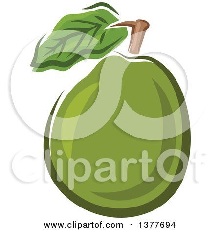 Clipart of a Guava Fruit - Royalty Free Vector Illustration by Vector Tradition SM