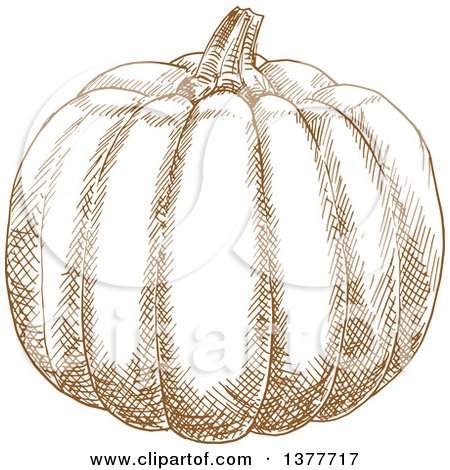 Clipart of a Brown Sketched Pumpkin - Royalty Free Vector Illustration by Vector Tradition SM