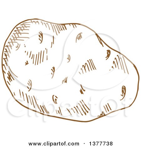 Clipart of a Brown Sketched Potato - Royalty Free Vector Illustration by Vector Tradition SM