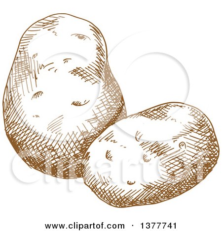 Clipart of Brown Sketched Potatoes - Royalty Free Vector Illustration by Vector Tradition SM