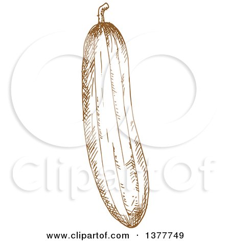 Clipart of a Brown Sketched Cucumber - Royalty Free Vector Illustration by Vector Tradition SM