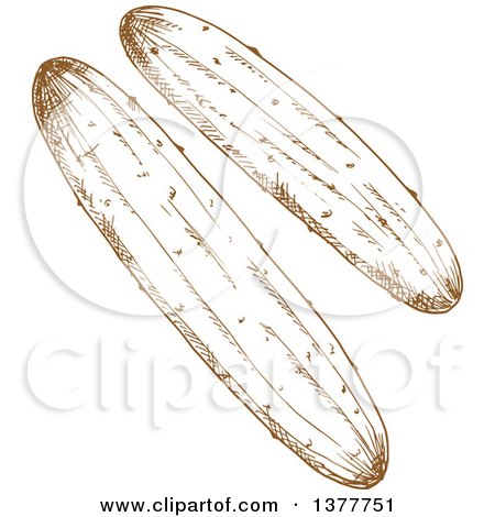 Clipart of Brown Sketched Cucumbers - Royalty Free Vector Illustration by Vector Tradition SM