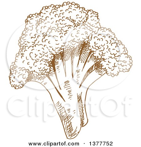 Clipart of a Brown Sketched Head of Broccoli - Royalty Free Vector Illustration by Vector Tradition SM