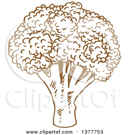 Clipart of a Brown Sketched Head of Broccoli - Royalty Free Vector Illustration by Vector Tradition SM