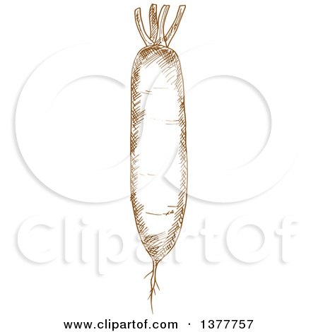 Clipart of a Brown Sketched Daikon Radish - Royalty Free Vector Illustration by Vector Tradition SM