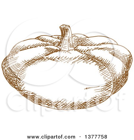 Clipart of a Brown Sketched Pumpkin or Squash - Royalty Free Vector Illustration by Vector Tradition SM