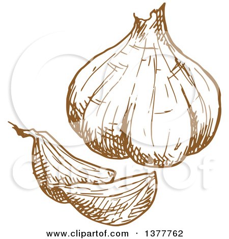 Clipart of a Brown Sketched Garlic Bulb - Royalty Free Vector Illustration by Vector Tradition SM