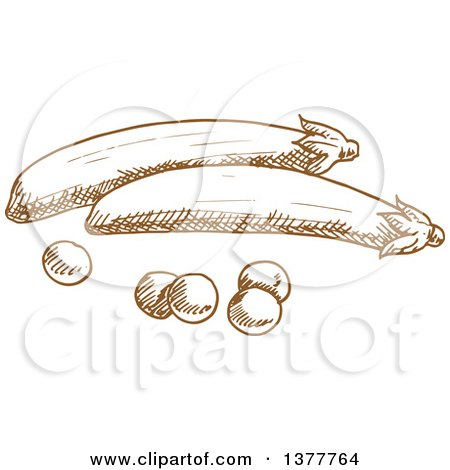Clipart of Brown Sketched Peas - Royalty Free Vector Illustration by Vector Tradition SM