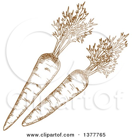 Clipart of Brown Sketched Carrots - Royalty Free Vector Illustration by Vector Tradition SM