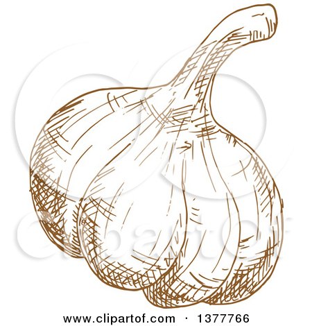 Clipart of a Brown Sketched Garlic Bulb - Royalty Free Vector Illustration by Vector Tradition SM