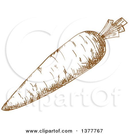 Clipart of a Brown Sketched Carrot - Royalty Free Vector Illustration by Vector Tradition SM