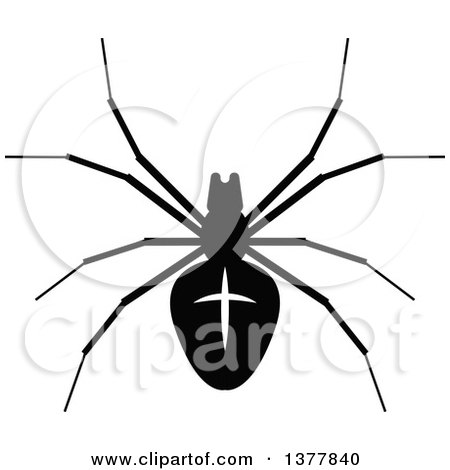 Clipart of a Black and White Spider - Royalty Free Vector Illustration by Vector Tradition SM