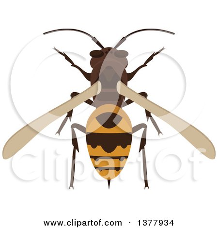 Clipart of a Bee or Wasp - Royalty Free Vector Illustration by Vector Tradition SM