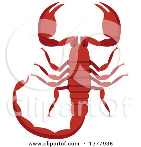 Clipart of a Scorpion - Royalty Free Vector Illustration by Vector Tradition SM