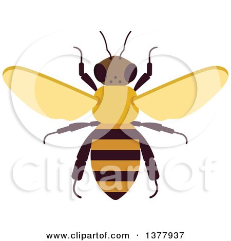 Clipart of a Bee - Royalty Free Vector Illustration by Vector Tradition SM