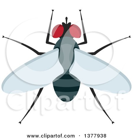 Clipart of a Fly - Royalty Free Vector Illustration by Vector Tradition SM