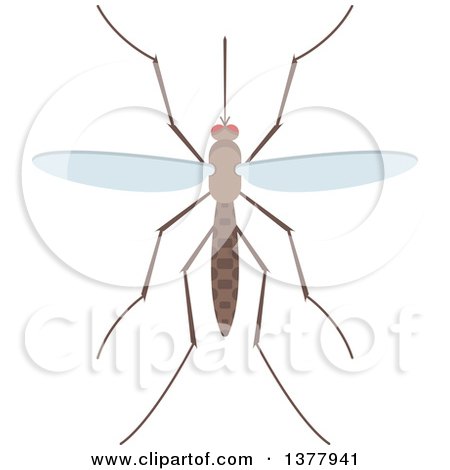 Clipart of a Mosquito - Royalty Free Vector Illustration by Vector Tradition SM