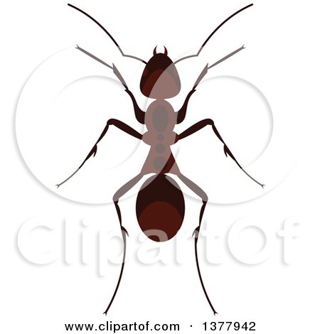 Clipart of a Brown Ant - Royalty Free Vector Illustration by Vector Tradition SM