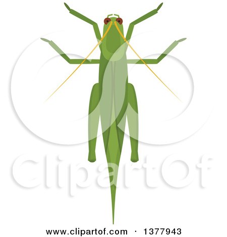 Clipart of a Grasshopper - Royalty Free Vector Illustration by Vector Tradition SM