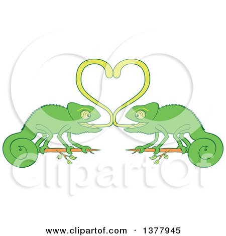 Clipart of a Romantic Valentine Chameleon Pair Forming a Heart with Their Sticky Tongues - Royalty Free Vector Illustration by Zooco