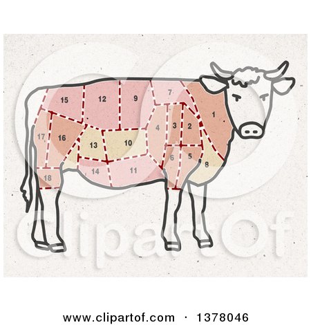 Clipart of a Cow Divided up Showing Different Cuts of Meat on Fiber Texture - Royalty Free Illustration by NL shop