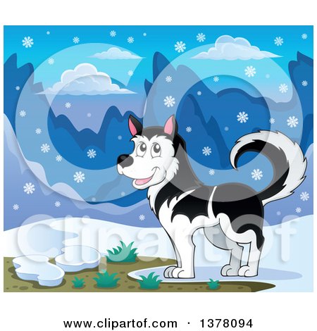 Clipart of a Happy Husky Dog in the Snow - Royalty Free Vector Illustration by visekart