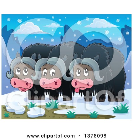 Clipart of a Group of Musk Oxen in the Arctic - Royalty Free Vector Illustration by visekart