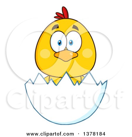 Clipart of a Yellow Chick in an Egg Shell - Royalty Free Vector Illustration by Hit Toon
