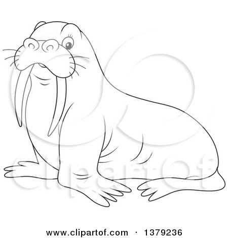 Clipart of a Cute Black and White Walrus - Royalty Free Vector Illustration by Alex Bannykh
