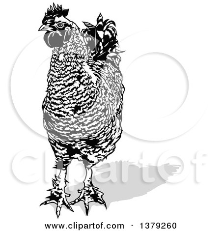 Clipart of a Black and White Cock Rooster with a Gray Shadow - Royalty Free Vector Illustration by dero