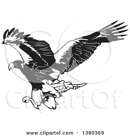 Clipart of a Black and White Flying Eagle Ready to Grab Prey - Royalty Free Vector Illustration by dero
