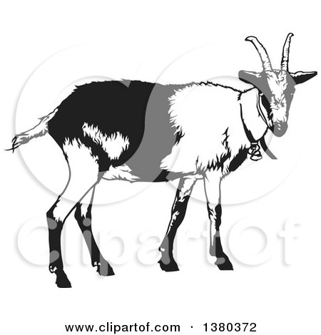 Clipart of a Black and White Goat - Royalty Free Vector Illustration by dero
