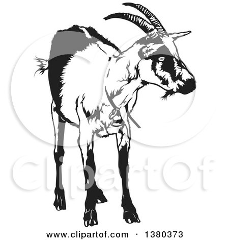 Clipart of a Black and White Goat - Royalty Free Vector Illustration by dero