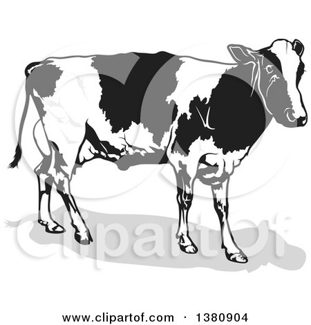 Clipart of a Grayscale Dairy Cow and Shadow - Royalty Free Vector Illustration by dero