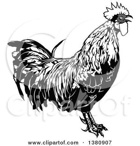 Clipart of a Grayscale Rooster - Royalty Free Vector Illustration by dero