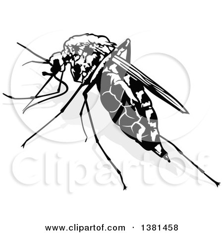 Clipart of a Black and White Mosquito and Gray Shadow - Royalty Free Vector Illustration by dero