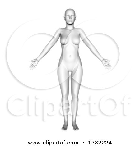 Clipart of a 3d Grayscale Anatomical Woman, on White - Royalty Free Illustration by KJ Pargeter