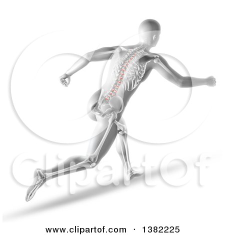 Clipart of a 3d Anatomical Man Running, with Visible Spine and Discs, on White - Royalty Free Illustration by KJ Pargeter