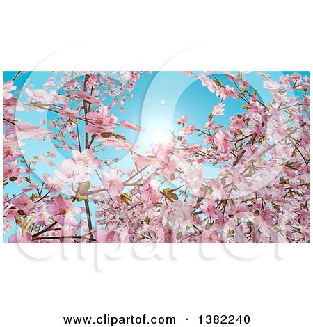 Clipart of a Background of Watercolor Styled Branches and Pink Cherry Blossoms Against a Spring Sky - Royalty Free Illustration by KJ Pargeter